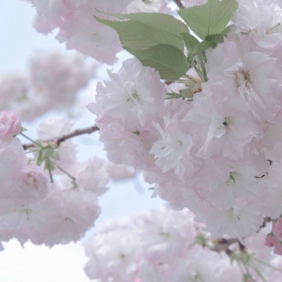 兽设赛博风格设计福瑞交流群